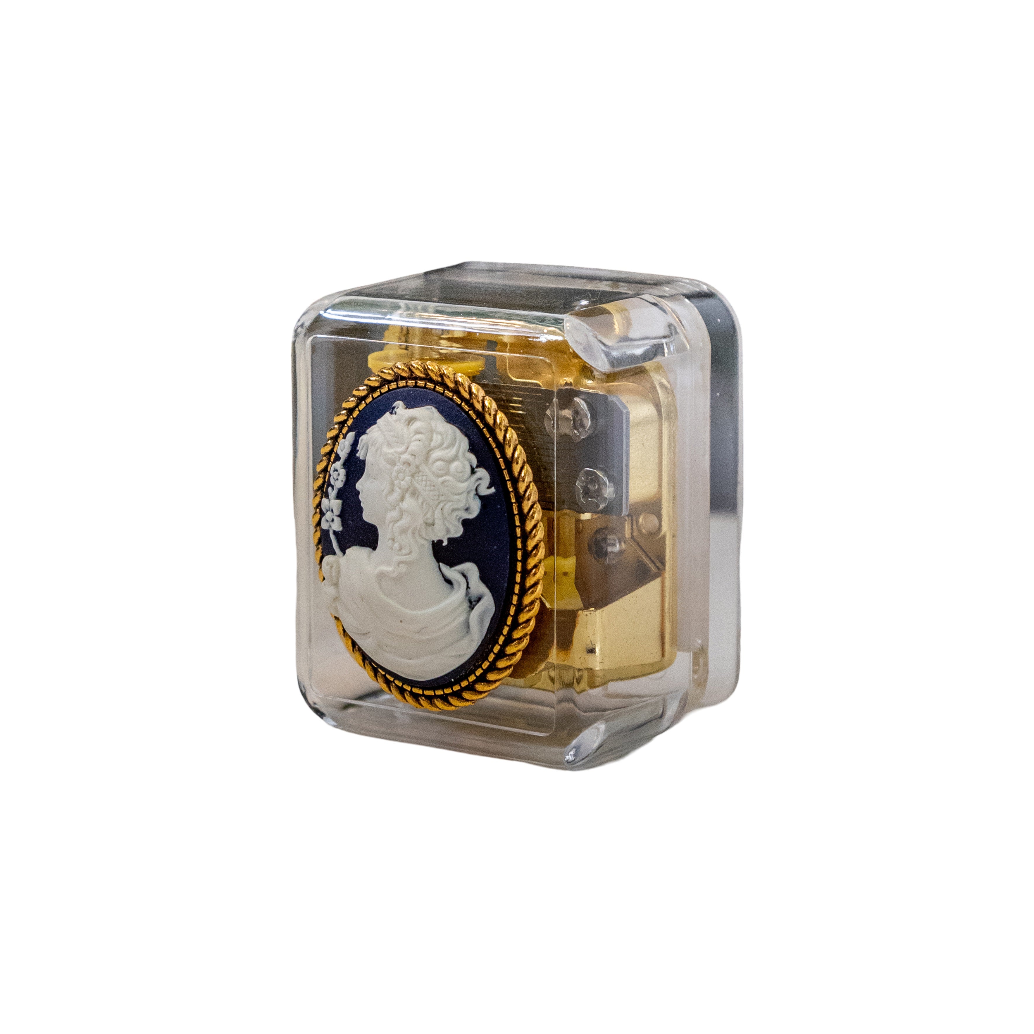 Somewhere In Time - Music Box Cameo